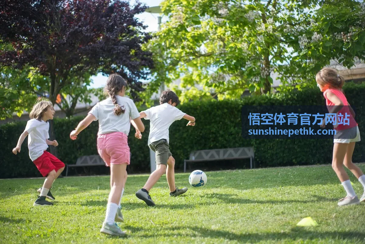 悟空体育官方网站会员权益等级与开通说明