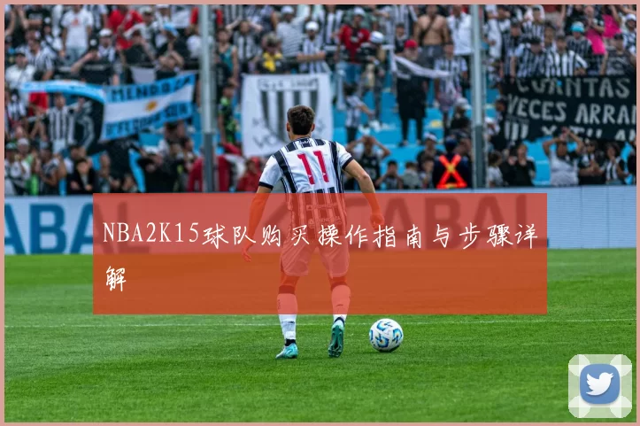 NBA2K15球队购买操作指南与步骤详解