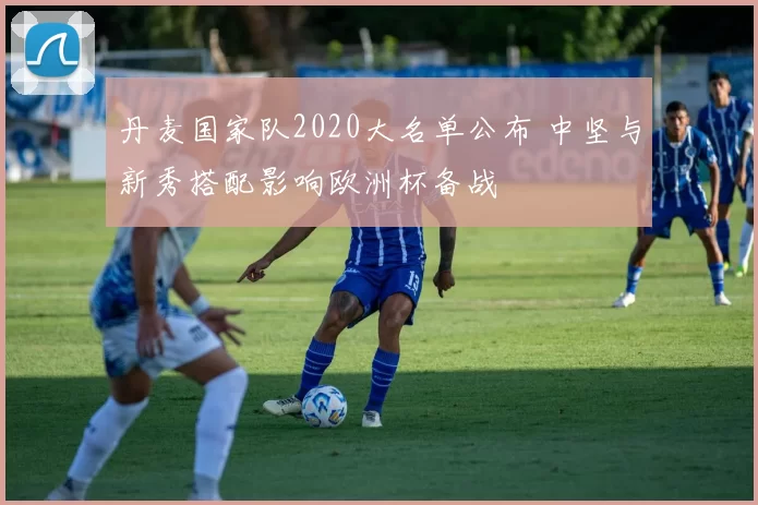 丹麦国家队2020大名单公布 中坚与新秀搭配影响欧洲杯备战