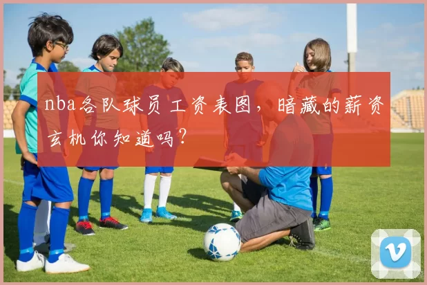 nba各队球员工资表图，暗藏的薪资玄机你知道吗？