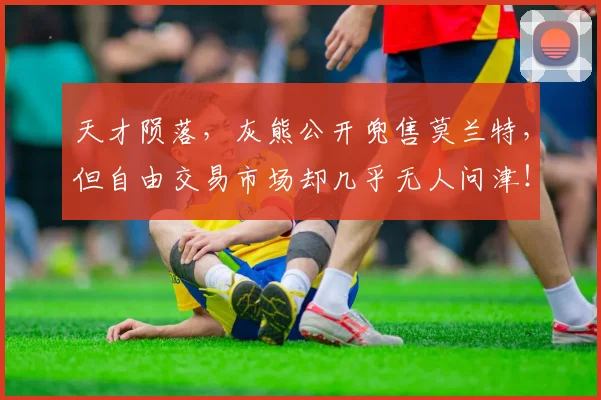 天才陨落，灰熊公开兜售莫兰特，但自由交易市场却几乎无人问津！