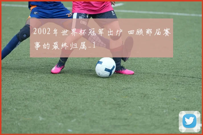 2002年世界杯冠军出炉 回顾那届赛事的最终归属_1