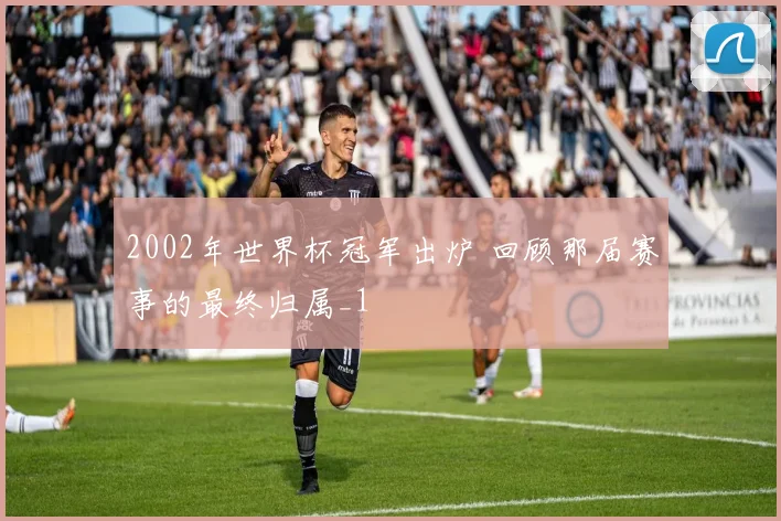 2002年世界杯冠军出炉 回顾那届赛事的最终归属_1