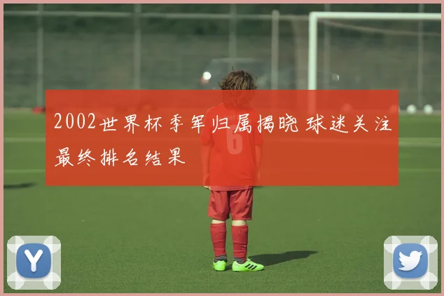 2002世界杯季军归属揭晓 球迷关注最终排名结果