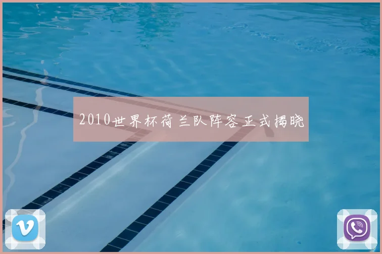 2010世界杯荷兰队阵容正式揭晓