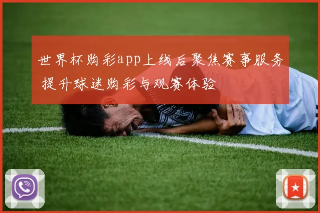 世界杯购彩app上线后聚焦赛事服务 提升球迷购彩与观赛体验